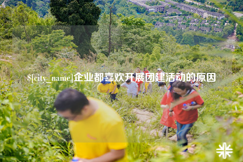 百色企业都喜欢开展团建活动的原因